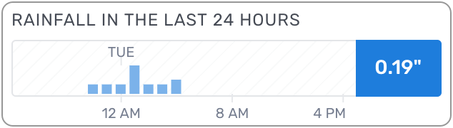 web last 24 hours.png